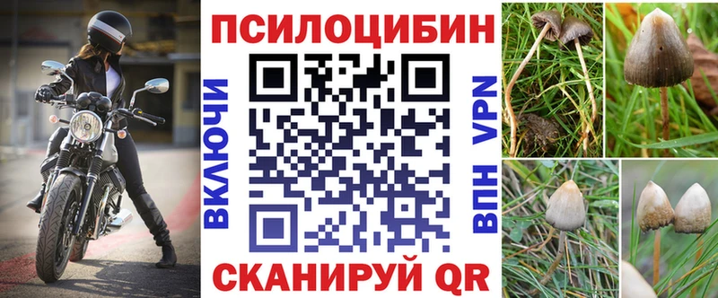 Псилоцибиновые грибы ЛСД  сколько стоит  Мичуринск 